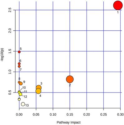 Metabolomic Analysis Identifies Differences Between Wild and Domesticated Chili Pepper Fruits During Development (Capsicum annuum L.)